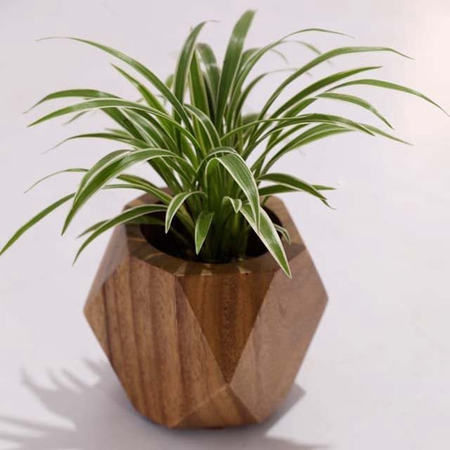 Custom Made Solid Wood Hexa Planter – Wooden Gift Piece
