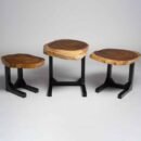 Live Edge Amorphic Nesting Tables
