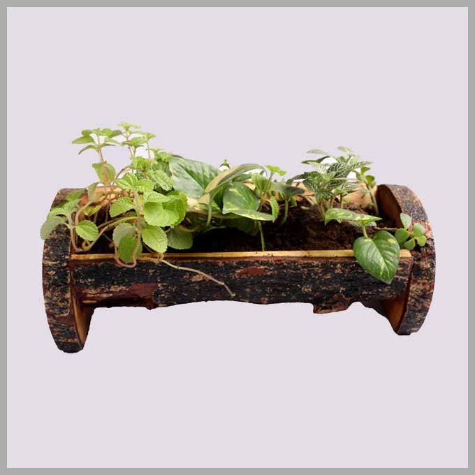 Solid Wooden Planter – Subway Design - Image 3